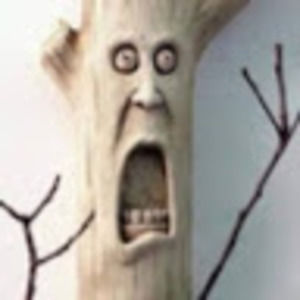 Meet your Posher, Robyn